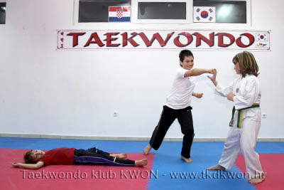 taekwondo kwon training